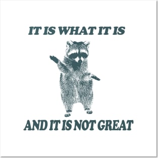 It Is What It Is And It Is Not Great - Vintage Drawing T Shirt, Raccoon Meme T Shirt, Funny Y2K Tee Shirt, Unisex Tee Posters and Art